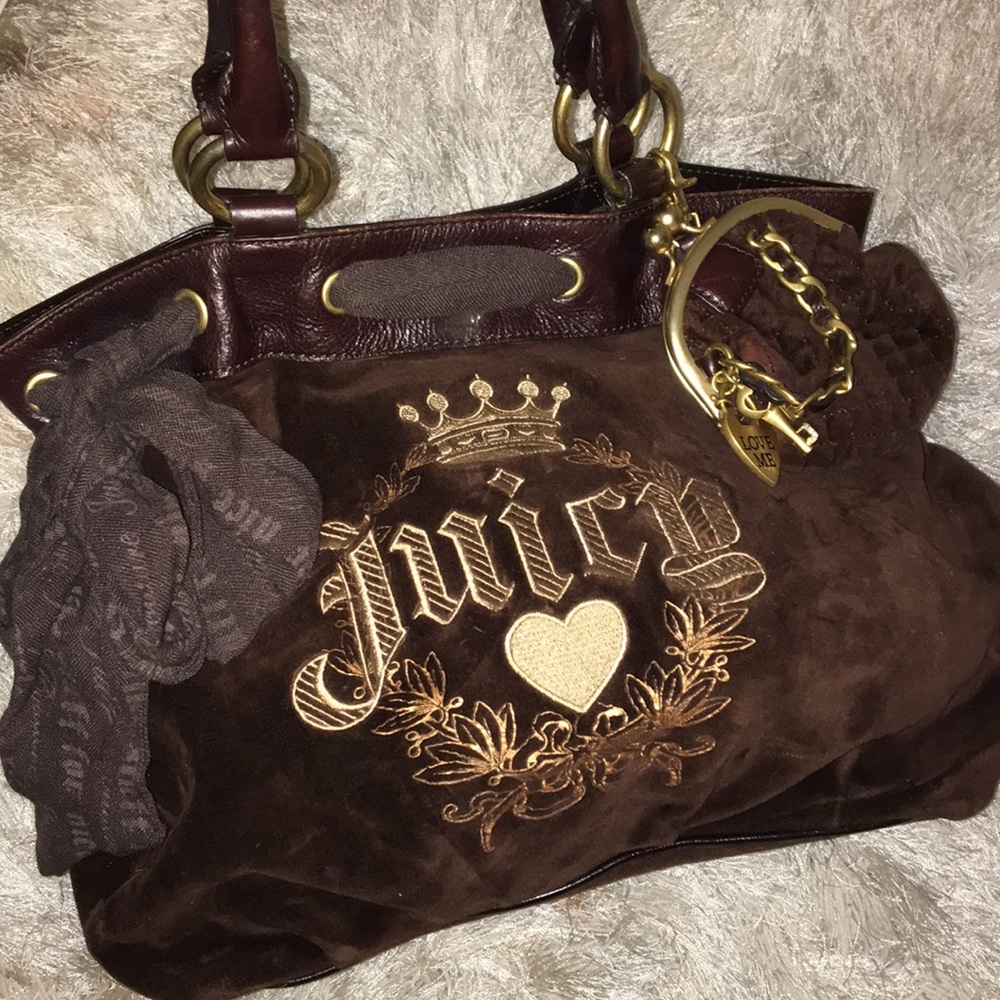 Cute brown juicy bag